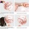 50-Pack Rose Gold Confetti Balloons 12in – Birthday & Wedding Party Decor with Ribbon